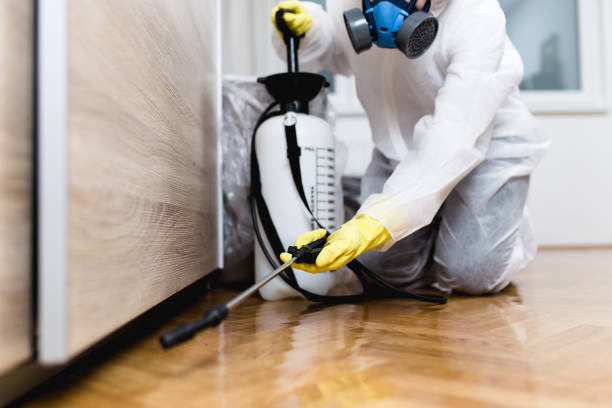 Pest Prevention Services in Chenoweth, OR