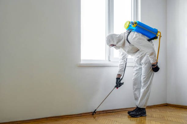 Best Wasp Removal Services  in Chenoweth, OR