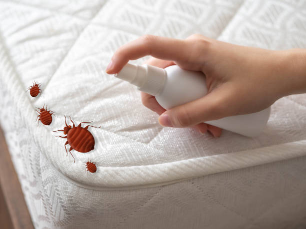 Best Affordable Pest Control Services  in Chenoweth, OR
