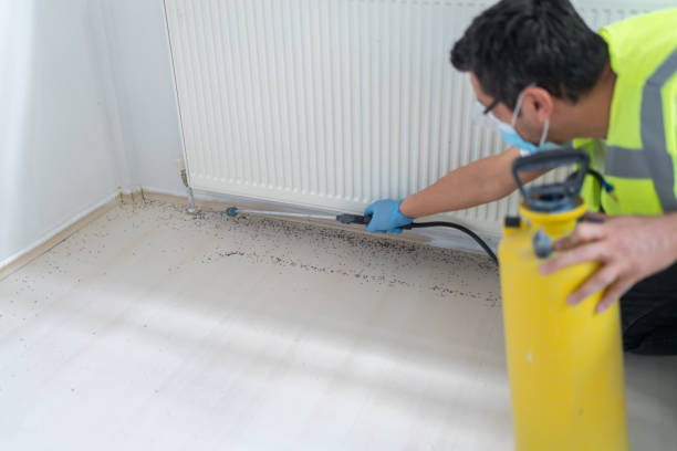 Best Rat Extermination Near Me  in Chenoweth, OR